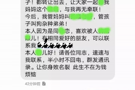 迪庆融资清欠服务